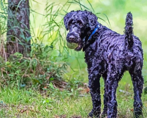 Kerry Blue Terrier Diamond Painting