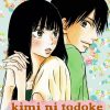 Kimi ni Todoke Diamond Painting