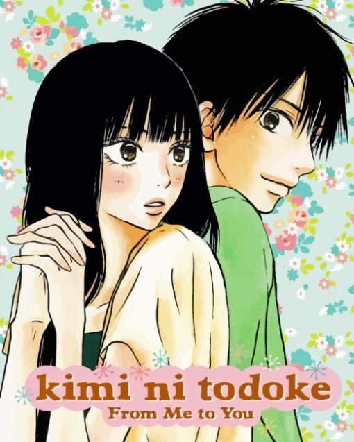 Kimi ni Todoke Diamond Painting