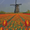 Kinderdijk Netherlands Diamond Painting