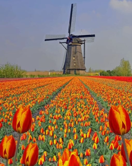 Kinderdijk Netherlands Diamond Painting