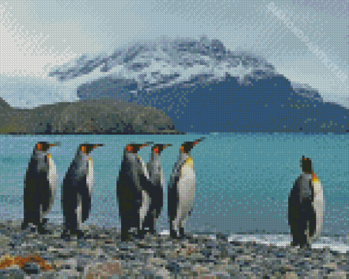 King Penguins Diamond Painting