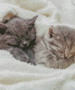 Kittens Sleeping Diamond Painting