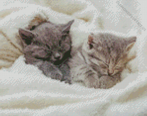 Kittens Sleeping Diamond Painting