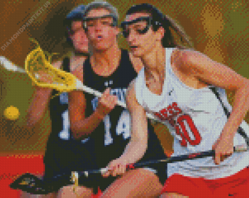 Lacrosse Womens Team Diamond Painting