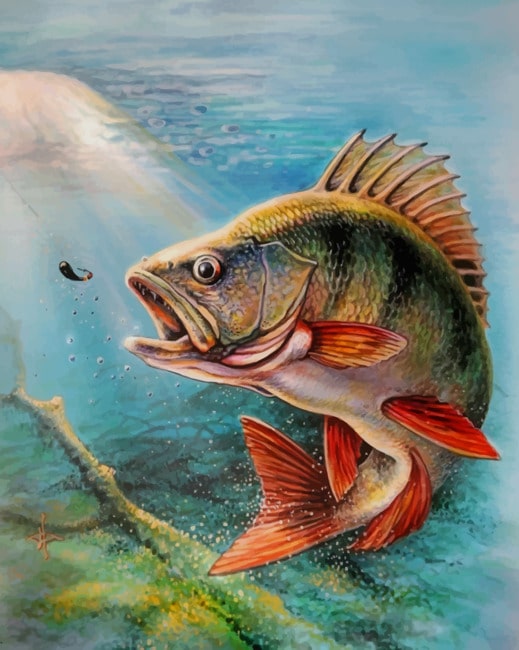 Largemouth Bass Fish Diamond Painting 
