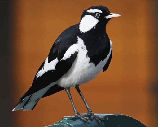 Magpie Lark Black And White Bird Diamond Painting