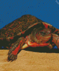 Mexican Red Turtle Diamond Painting
