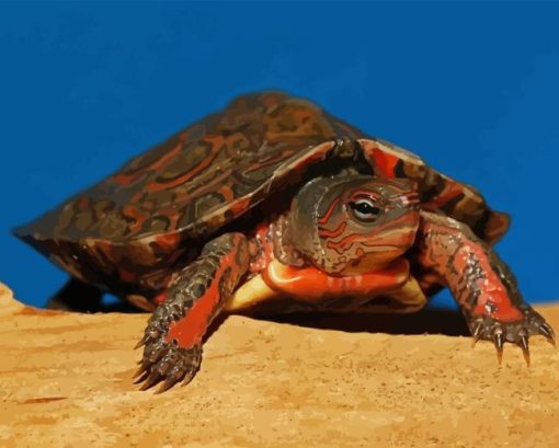 Mexican Red Turtle Diamond Painting