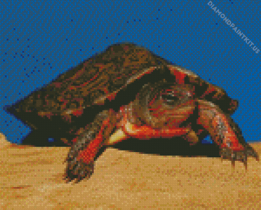 Mexican Red Turtle Diamond Painting