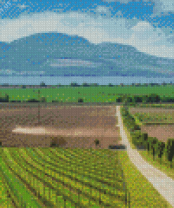 Moravia Wine Tour Diamond Painting