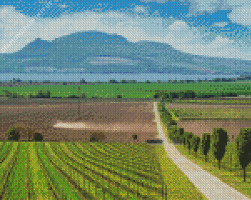 Moravia Wine Tour Diamond Painting