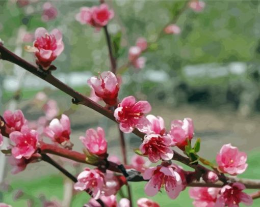 Peach Tree Flower Diamond Painting