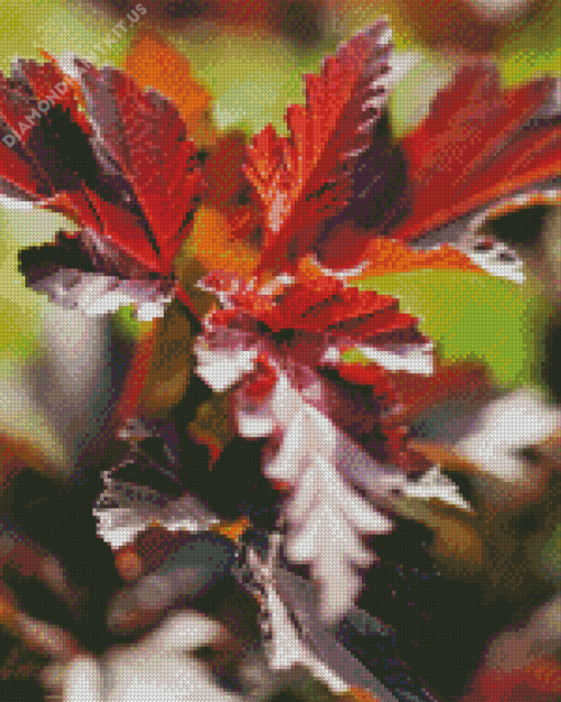 Plant Maroon Leaves Diamond Painting