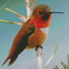 Rufous Hummingbird Diamond Painting