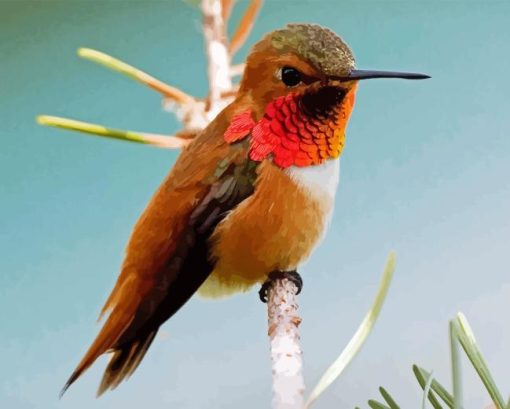 Rufous Hummingbird Diamond Painting