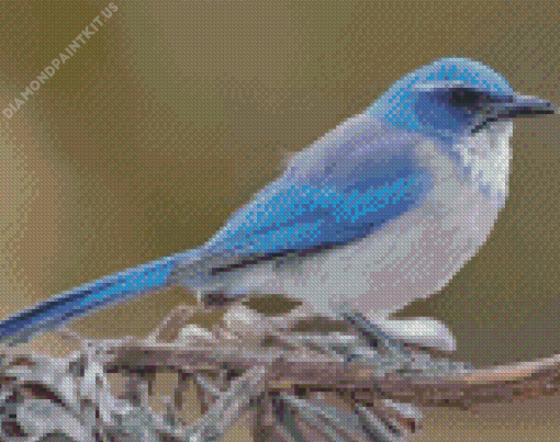 Scrub Jays On Stick Diamond Painting