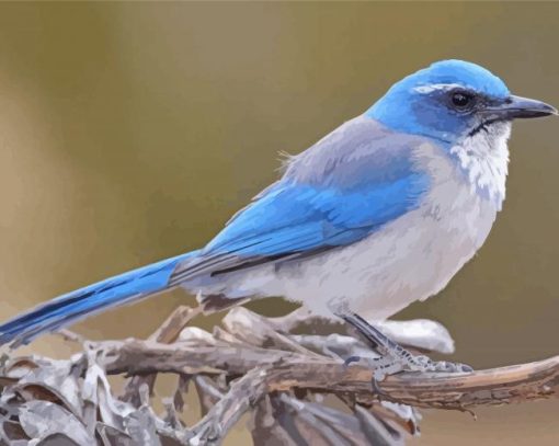 Scrub Jays On Stick Diamond Painting