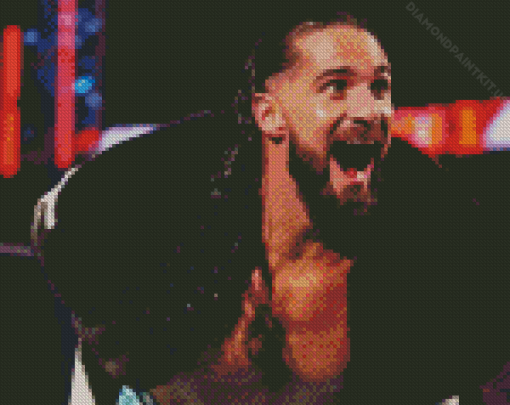 Seth Rollins WWE Diamond Painting