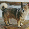 Swedis Vallhund Diamond Painting