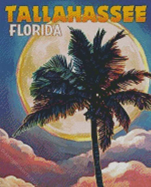 Tallahassee Florida Poster Diamond Painting