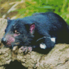 Tasmanian Devil Diamond Painting