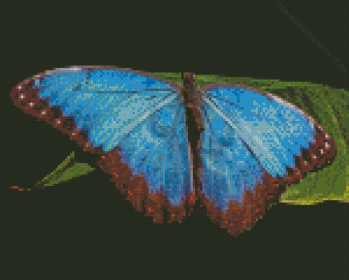 Teal Butterfly Diamond Painting