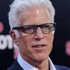 Ted Danson American Actor Diamond Painting