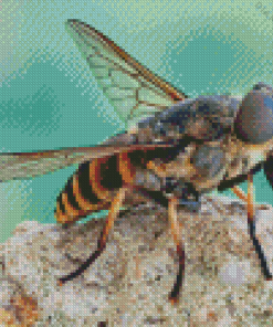The Horse Fly Diamond Painting