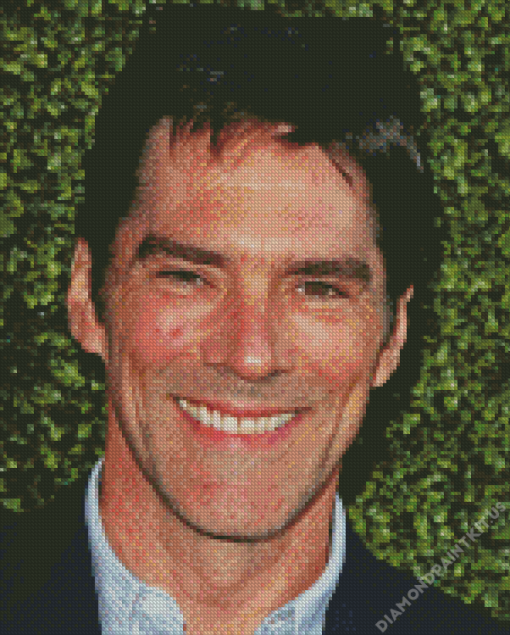 Thomas Gibson Diamond Painting