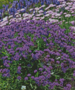 Verbena Purple Garden Diamond Painting