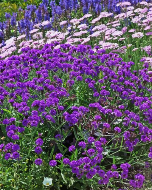 Verbena Purple Garden Diamond Painting