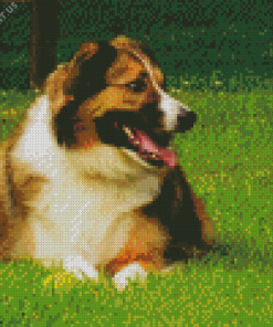 Welsh Sheepdog Diamond Painting