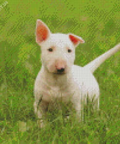 White Bull Terrier Puppy Diamond Painting