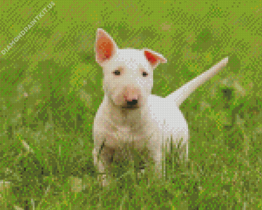 White Bull Terrier Puppy Diamond Painting