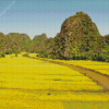 Yellow Rice Field Diamond Painting