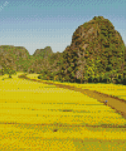 Yellow Rice Field Diamond Painting
