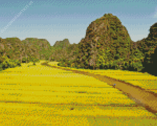 Yellow Rice Field Diamond Painting