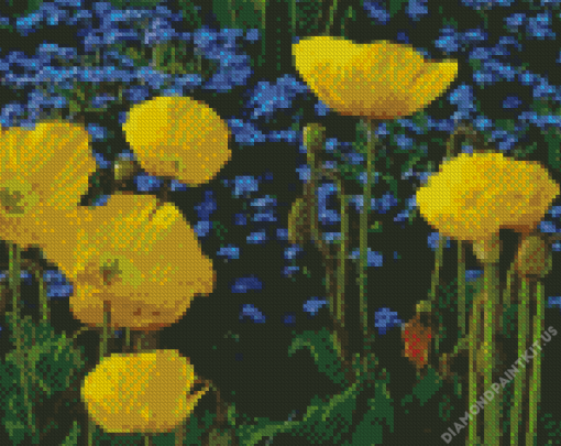 Yellow Poppies With Blue Flowers Diamond Painting