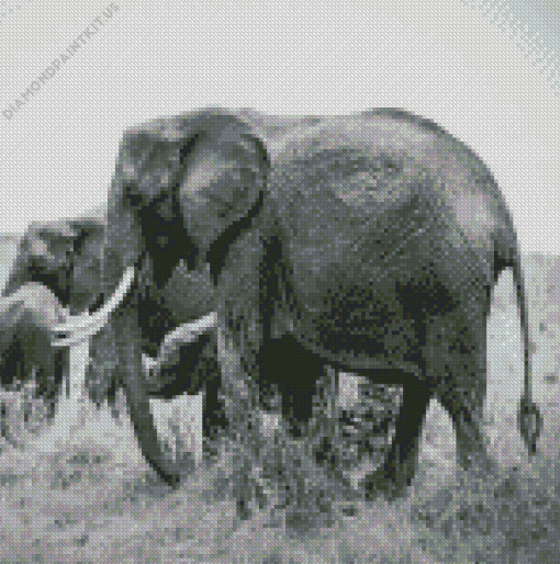 Adventure African Elephants Animal Diamond Painting