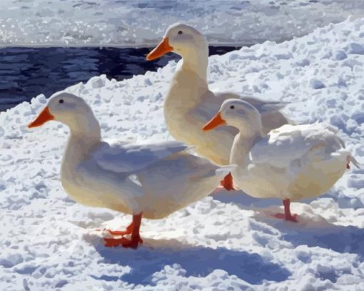 American Pekin Ducks In Snow Diamond Painting