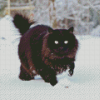 Black Cat In Snow Diamond Painting