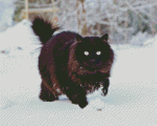 Black Cat In Snow Diamond Painting