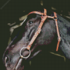 Black Horse With Bridle Diamond Painting