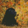 Black Newfoundland Dog Diamond Painting