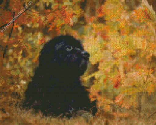 Black Newfoundland Dog Diamond Painting