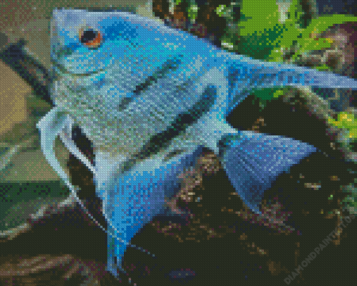Blue Angelfish Diamond Painting