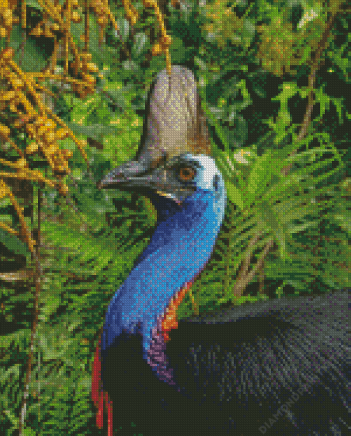 Blue Head Cassowary Bird Diamond Painting