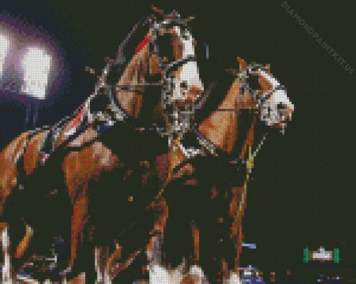 Budweiser Clydesdales At Night Diamond Painting