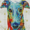 Colorful Greyhound Dog Art Diamond Painting